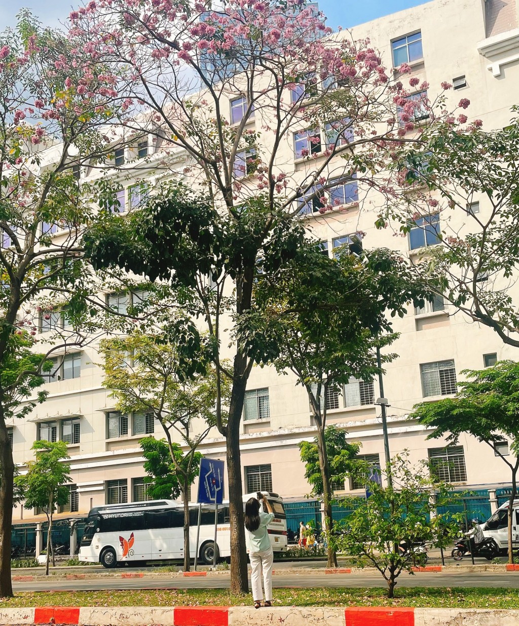 Bạn Thuỳ Trang (25 tuổi, ngụ Quận 1) chia sẻ: “Mỗi mùa hoa kèn hồng nở mình lại tranh thủ ra đây chụp hình “check-in”. Giờ không cần đi đâu xa, mình cũng có những bức ảnh như chụp ở Đà Lạt, hay na ná cảnh hoa anh đào tại Nhật Bản” Bạn Thuỳ Trang (25 tuổi, ngụ Quận 1) chia sẻ: “Mỗi mùa hoa kèn hồng nở mình lại tranh thủ ra đây chụp hình “check-in”. Giờ không cần đi đâu xa, mình cũng có những bức ảnh như chụp ở Đà Lạt, hay na ná cảnh hoa anh đào tại Nhật Bản”