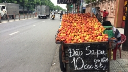 Giải tỏa các điểm kinh doanh trái cây không an toàn, lấn chiếm vỉa hè