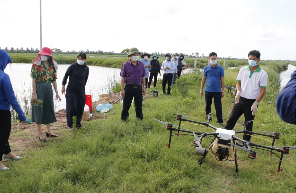 Sử dụng máy bay không người lái trong phun chế phẩm sinh học tại mô hình sản xuất lúa chất lượng cao 