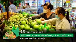 43 tỉnh, thành phố kết nối, cung cấp nông, lâm, thủy sản cho thị trường Hà Nội