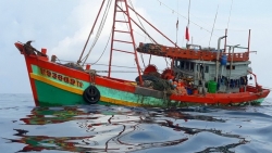 Chủ tịch UBND tỉnh Cà Mau viết thư ngỏ, kêu gọi khai thác hải sản đúng quy định