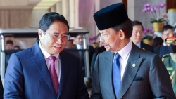 Tăng cường kết nối hai nền kinh tế, thúc đẩy quan hệ Đối tác Toàn diện Việt Nam - Brunei