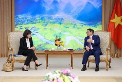 Việt Nam - Hoa Kỳ cần thúc đẩy mạnh mẽ hơn nữa quan hệ kinh tế, thương mại – đầu tư, mở rộng hợp tác
