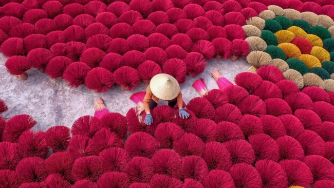 Làng hương Quảng Phú Cầu rực rỡ sắc xuân