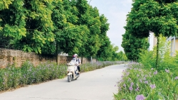 Huyện Thanh Trì tạo diện mạo đô thị sáng, xanh, sạch, đẹp