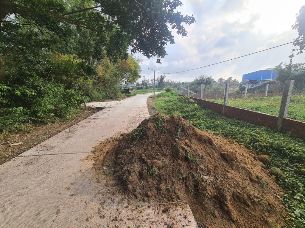 Rễ cỏ cây, dẻ rách... lẫn vào đất mà đơn vị thi công vẫn dùng đổ vào thi công nền lề đường