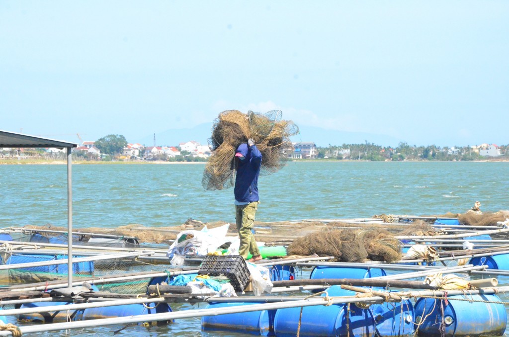 Công tác bảo vệ và phát triển nguồn lợi hải sản được bền vững, cần có sự chung sức của các nhà khoa học, nhà quản lý cũng như cộng đồng ngư dân (Ảnh Đ.Minh)