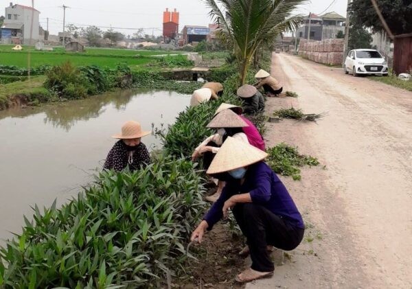  Nhân dân tích cực trồng, chăm sóc hoa làm đẹp cảnh quan