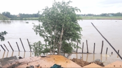 Quảng Nam: Thi công đập ngăn mặn trên sông Vĩnh Điện gặp khó vì thiếu cát