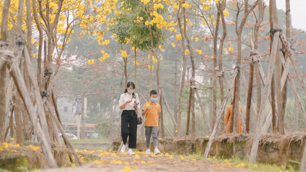 Nhiều gia đình tranh thủ thời tiết nắng ráo, cùng nhau đi chơi phố, ngắm hoa và lưu lại những khoảnh khắc đáng nhớ