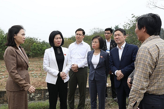 Đoàn khảo sát đến thực địa tại khu vực dư kiến GPMB tại địa bàn phường Yên Nghĩa, quận Hà Đông