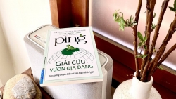 Tìm hiểu hành trình của chú ếch Ping "Giải cứu Vườn Địa đàng"