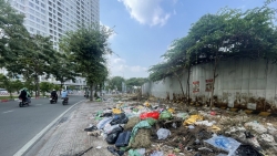 TP Hồ Chí Minh: Ngán ngẩm cảnh xả rác “vô tội vạ”