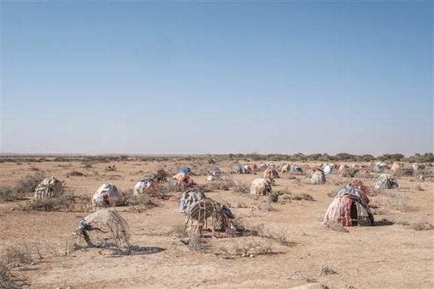 Các lều tạm bị người dân bỏ lại khi phải sơ tán do hạn hán tại Gode, Ethiopia ngày 12/1/2023. (Ảnh: AFP