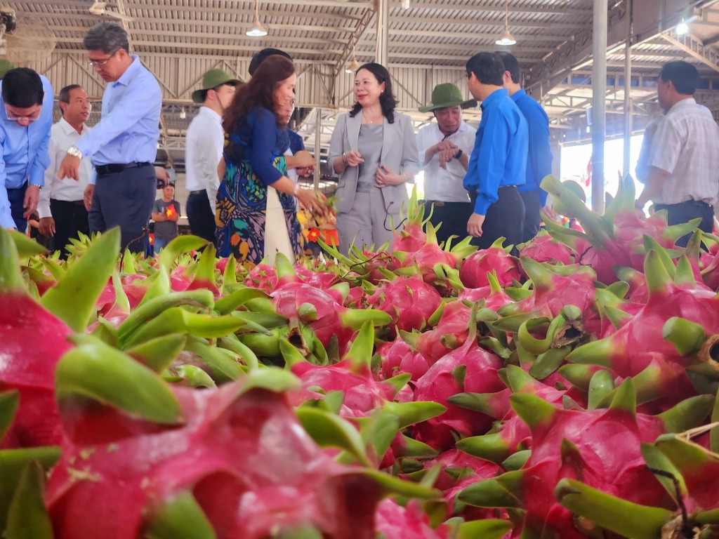 Ngoài ra, còn rất nhiều hoạt động được diễn ra đồng thời, xuyên suốt trong cả ngày 26/2 trên khắp địa bàn tỉnh Bình Thuận Ngoài ra, còn rất nhiều hoạt động được diễn ra đồng thời, xuyên suốt trong cả ngày 26/2 trên khắp địa bàn tỉnh Bình Thuận