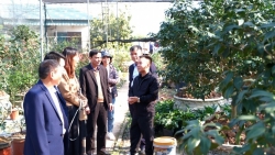 Hà Nội thẩm định hai xã Nông thôn mới của huyện Mê Linh