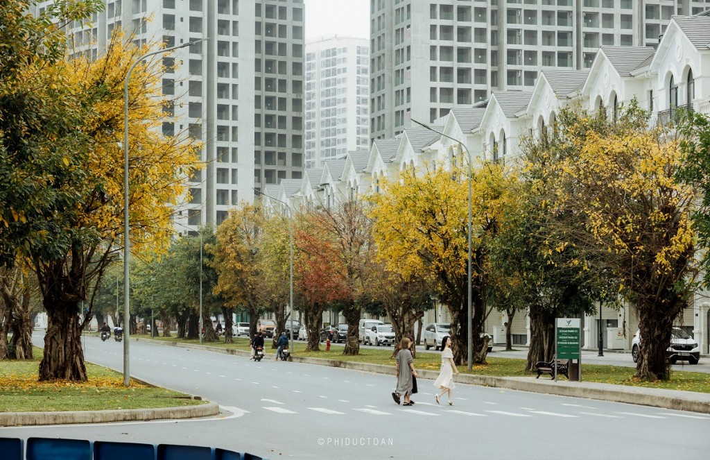 “Quận Ocean” khoác lên mình chiếc “áo mới” trong mùa thay lá