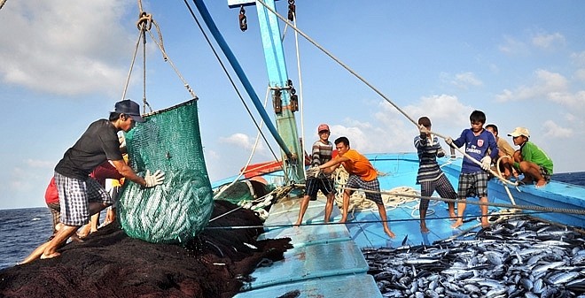 Phê duyệt Đề án chuyển đổi một số nghề khai thác hải sản ảnh hưởng đến nguồn lợi và môi trường sinh thái