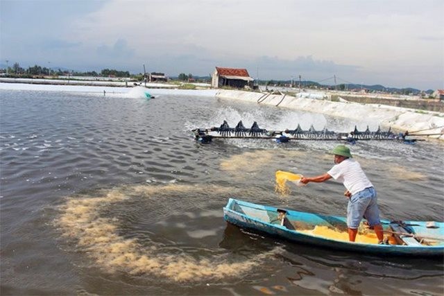 Phê duyệt Đề án chuyển đổi một số nghề khai thác hải sản ảnh hưởng đến nguồn lợi và môi trường sinh thái