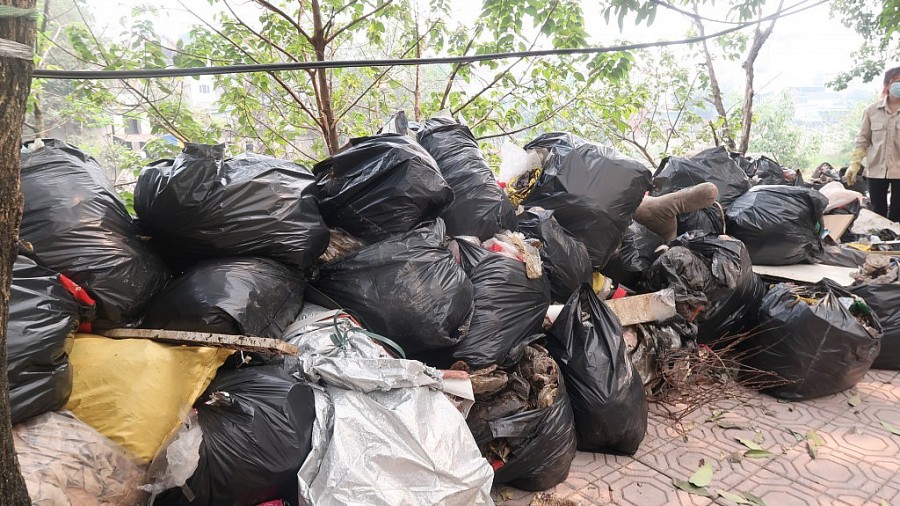 Có khoảng gần 100 túi rác đã được các bạn TNV buộc chặt, đợi mang đi phân hủy