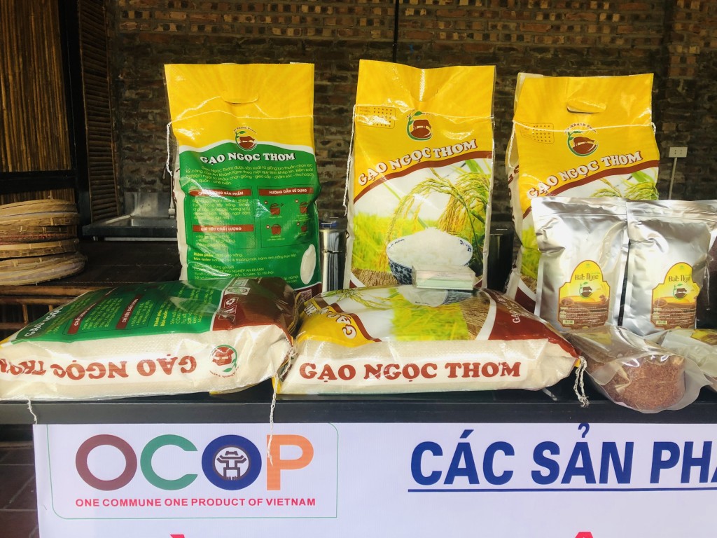 Hạt gạo dẻo đất Ngọc và tâm huyết của chàng kỹ sư nông nghiệp