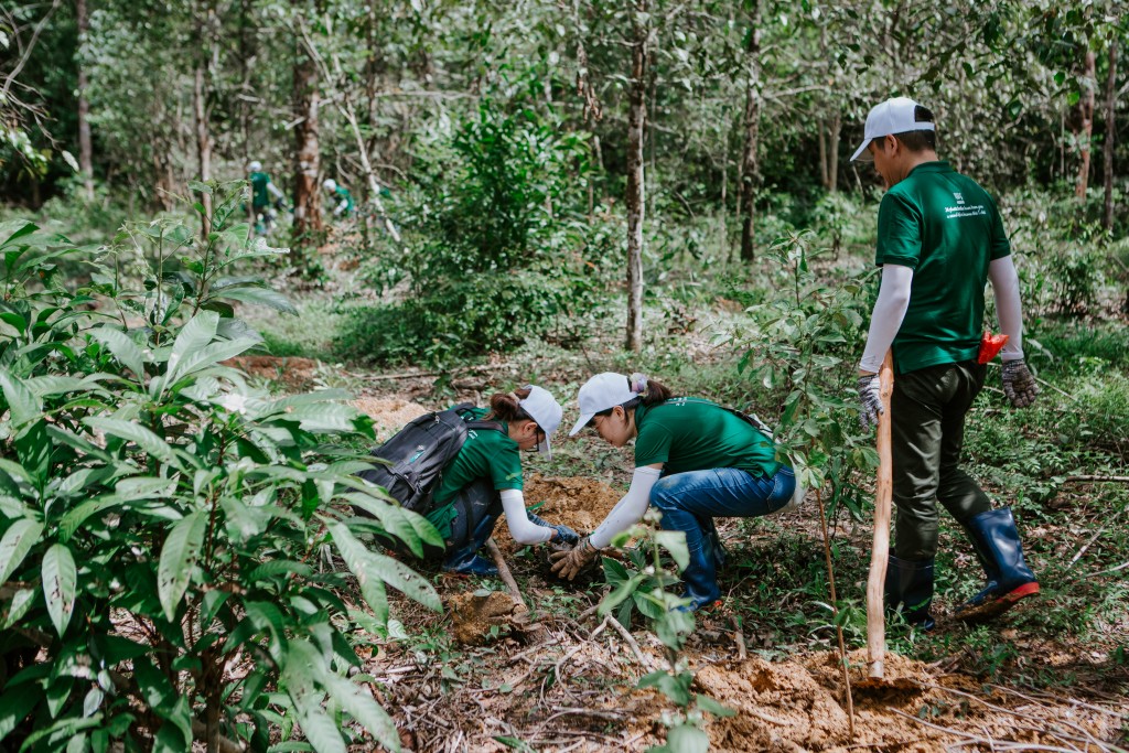 Năm 2022, Nestlé đóng góp 1.000 cây về Khu bảo tồn Thiên nhiên Văn hóa Đồng Nai_1.jfif