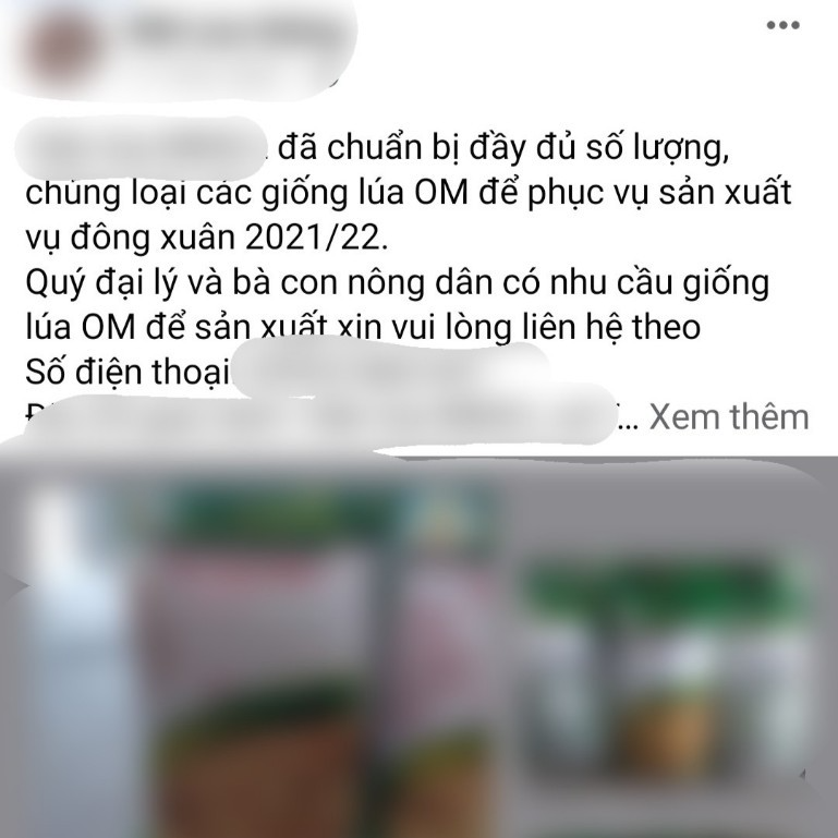Tràn lan Lúa giống không rõ công ty, nhà cung ứng trên thị trường