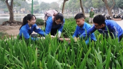 Bạn trẻ quận Hai Bà Trưng ra quân làm sạch khu vực hồ Thiền Quang