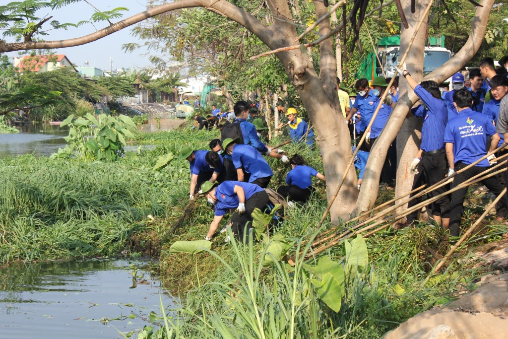 Thành đoàn TP Hồ Chí Minh: Sôi nổi các hoạt động ra quân Ngày Chủ nhật xanh lần thứ 148