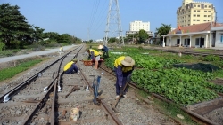 Sớm mở rộng và hiện đại hóa mạng lưới đường sắt đáp ứng nhu cầu phát triển