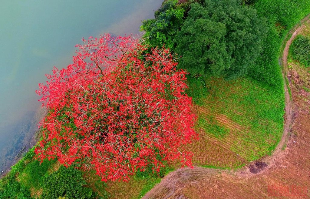 Nguyễn Hồng Vinh và những vần thơ... thành nhạc vút “Bên trời”