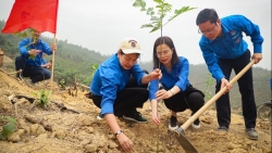 Đoàn Thanh niên Khối Doanh nghiệp Trung ương phát động lễ trồng rừng 2023