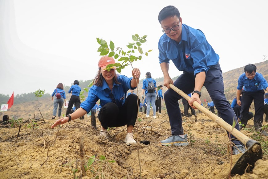 Đoàn Thanh niên Doanh nghiệp Trung ương phát động lễ trồng rừng 2023
