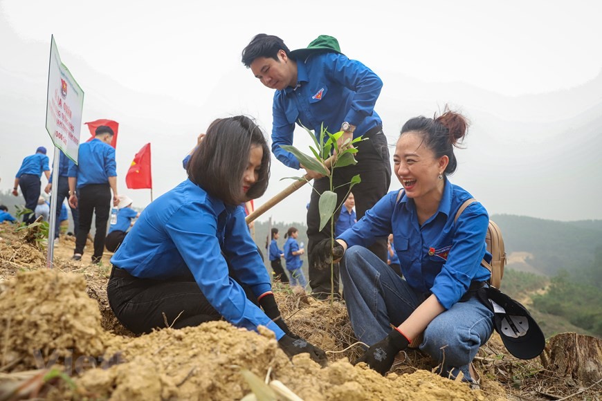 Đoàn Thanh niên Khối Doanh nghiệp Trung ương phát động lễ trồng rừng 2023