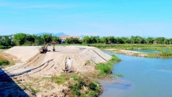 Quảng Nam: Cho phép lấy cát từ dự án nạo vét sông Cổ Cò thi công đập ngăn mặn