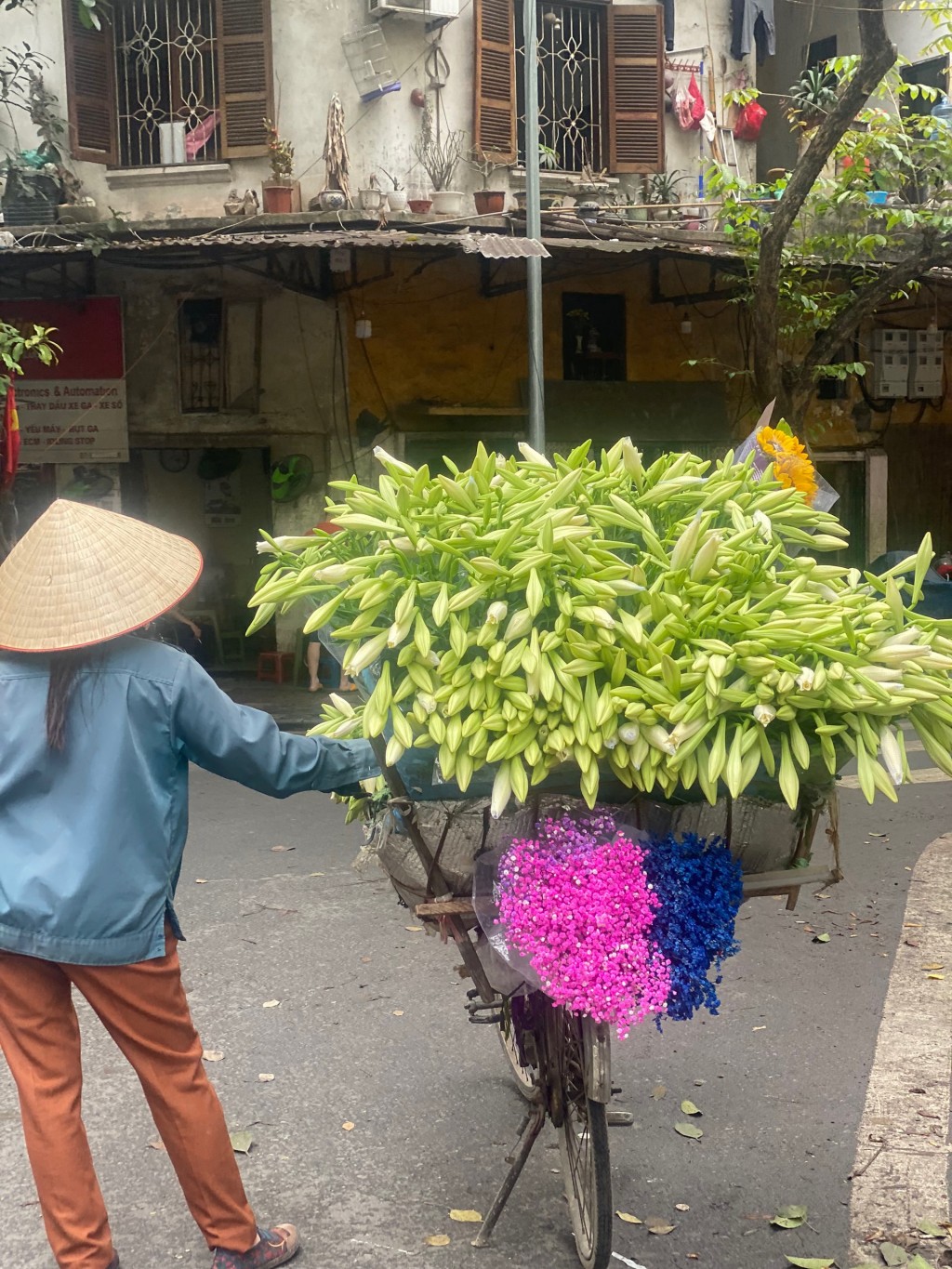 Màu trắng xanh đặc trưng