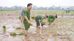Người góp phần giữ bình yên xã cửa ngõ Thủ đô