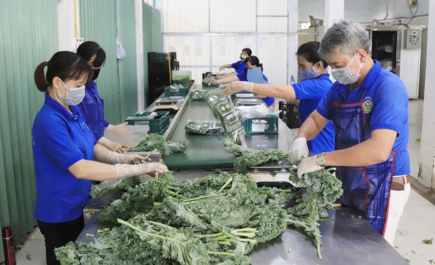 Xây dựng thương hiệu nông sản Việt vươn tầm thế giới