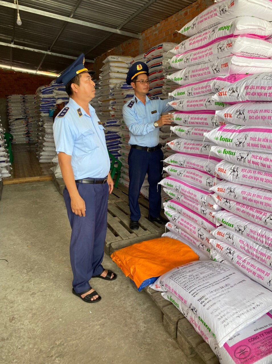 Tây Ninh: Hàng loạt sản phẩm thức ăn chăn nuôi và thuốc thú y vi phạm