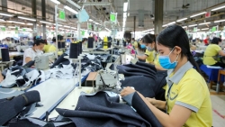 Hà Nội: Khảo sát tiền lương, thu nhập của người lao động tại các doanh nghiệp