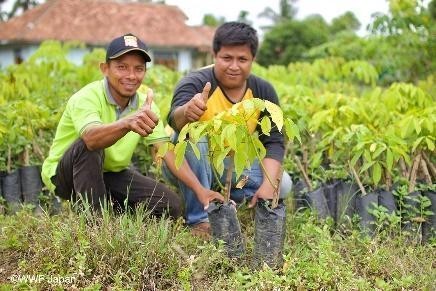 Phát triển các hoạt động thúc đẩy nông nghiệp bền vững. Ngoài việc bảo tồn rừng và các mối quan tâm khác về môi trường, chúng tôi hướng đến cải thiện sinh kế của các hộ nông dân quy mô nhỏ (Khu vực Đông Nam Á Mekong). Credits: ©︎ WWF-Japan