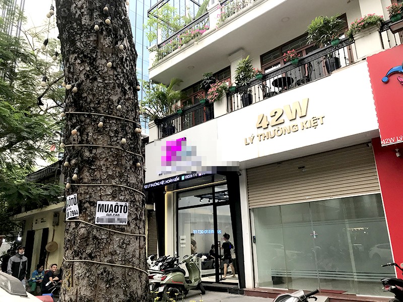 Đèn điện, biển quảng cáo quấn quanh thân cây cổ thụ Đèn điện, biển quảng cáo quấn quanh thân cây cổ thụ