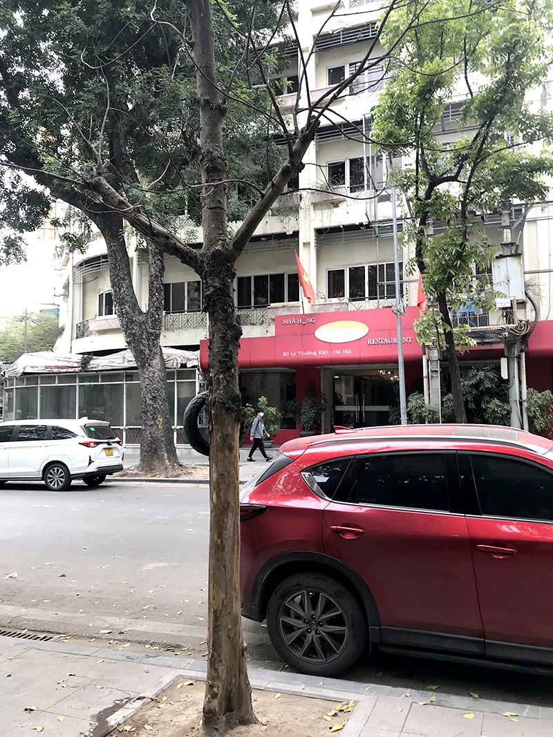 Cây xanh chết khô tại vỉa hè phố Phan Bội Châu Cây xanh chết khô tại vỉa hè phố Phan Bội Châu