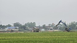 Quảng Nam: Dân "tố" múc đất ruộng đem bán, Công ty Phước Điệp bị yêu cầu dừng thi công