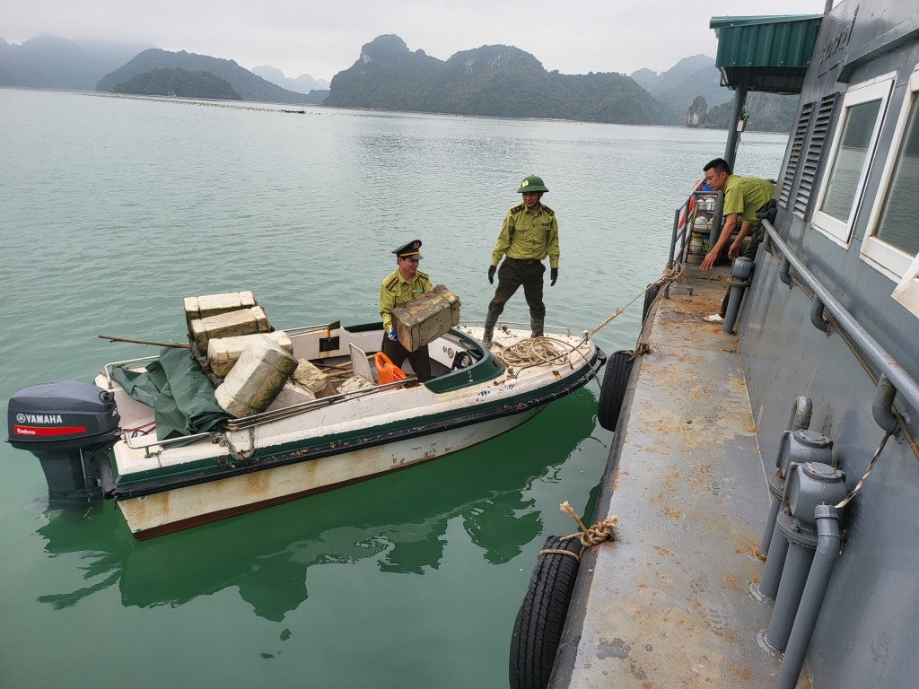 Ban quản lý Vườn quốc gia Bái Tử Long huy động cán bộ, nhân viên tham gia thu gom phao xốp.