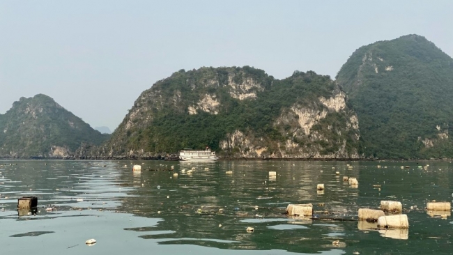 Quảng Ninh yêu cầu xử lý dứt điểm nuôi trồng thủy sản trái phép trên vịnh Hạ Long