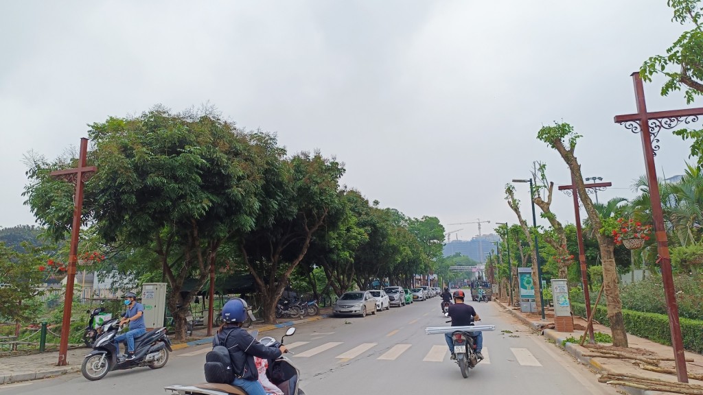 Mặc dù đã được trồng mới nhiều cây giáng hương, nhưng phía khu đối diện đầm sen vẫn còn tình trạng cây nhãn xen kẽ giáng hương, khiến tổng thể phố đi bộ chưa đồng nhất