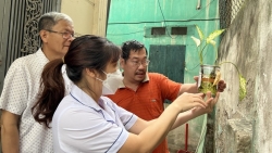 Các tỉnh, thành tăng cường phòng chống sốt xuất huyết và dịch bệnh mùa hè