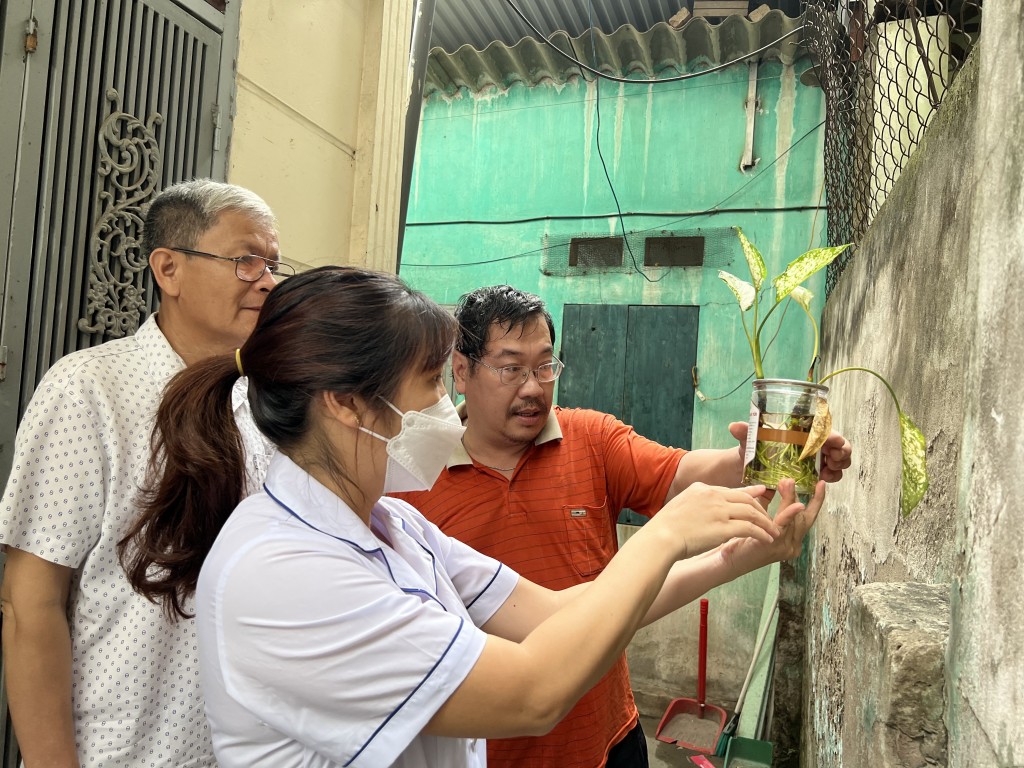 Tích cực phòng, chống sốt xuất huyết 