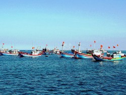 Quảng Nam: Hội Trăng lưỡi liềm đỏ Cô - oét hỗ trợ đóng tàu cá cho ngư dân huyện Thăng Bình